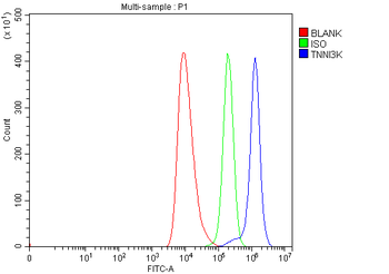 Anti-TNNI3K Antibody