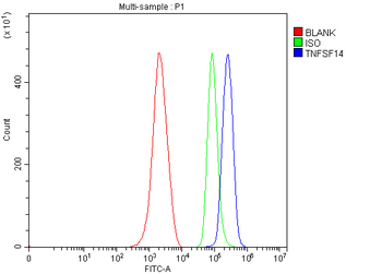 Anti-LIGHT/Tnfsf14 Antibody