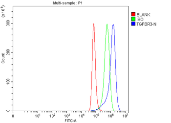 Anti-TGF beta Receptor III/TGFBR3 Antibody