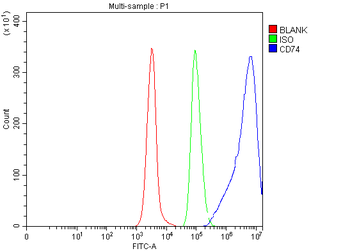 Anti-CD74 Antibody