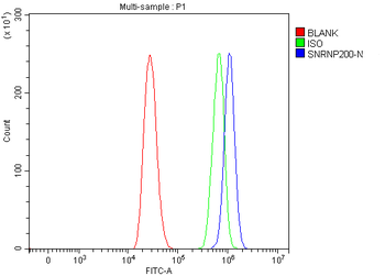 Anti-SNRNP200 Antibody