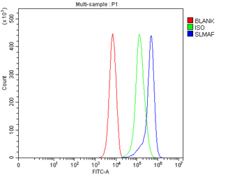 Anti-SLMAP Antibody