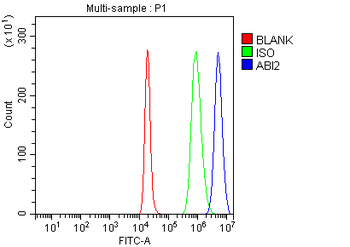 Anti-ABI2 Antibody