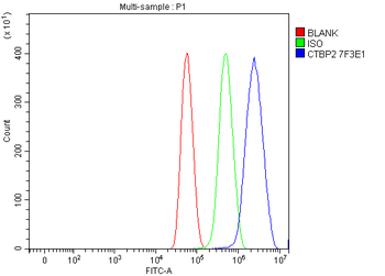 Anti-CTBP2 Antibody (monoclonal, 7F3E1)