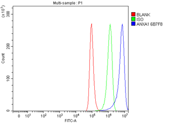 Anti-Annexin A1/ANXA1 Antibody (monoclonal, 6B7F8)