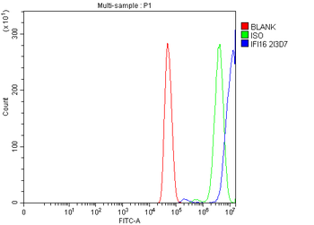 Anti-IFI16 Antibody (monoclonal, 2I3D7)