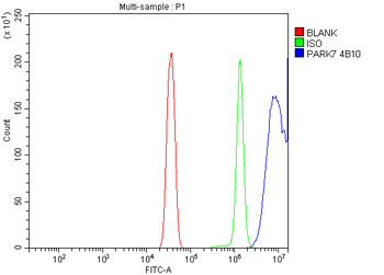 Anti-PARK7/DJ1 Antibody (monoclonal, 4B10)