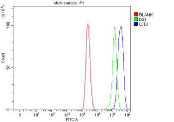 Anti-OIT3 Antibody