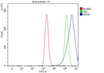 Anti-RTKN Antibody