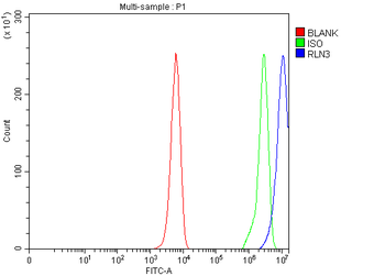 Anti-RLN3 Antibody