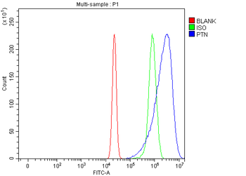 Anti-PTN Antibody