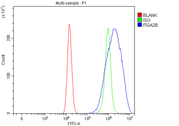 Anti-CD41/Integrin Alpha 2B/ITGA2B Antibody