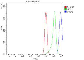 Anti-CD276 Antibody