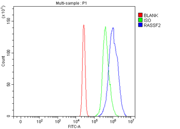 Anti-RASSF2 Antibody