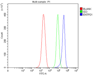 Anti-CD39/Entpd1 Antibody