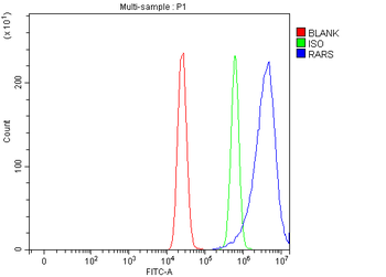 Anti-RARS/RARS1 Antibody
