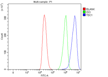 Anti-Hamartin/TSC1 Antibody