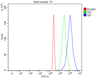 Anti-CBLIF Antibody