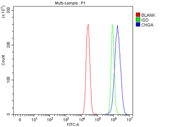 Anti-Chromogranin A/CHGA Antibody