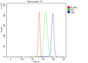 Anti-T12/CD6 Antibody