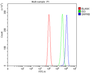 Anti-SRPRB Antibody