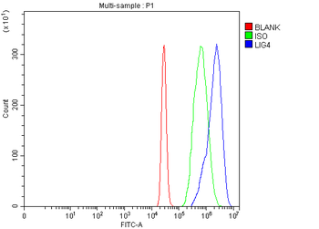 Anti-DNA Ligase IV/LIG4 Antibody