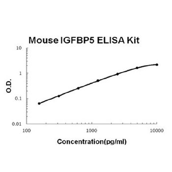Mouse IGFBP5 ELISA Kit