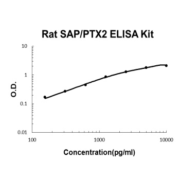 Rat SAP/PTX2/APCS ELISA Kit