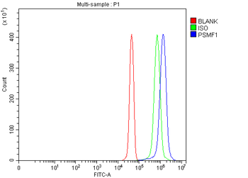 Anti-PSMF1 Antibody