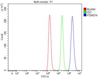 Anti-POH1/PSMD14 Antibody