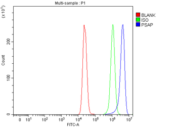 Anti-PSAP Antibody