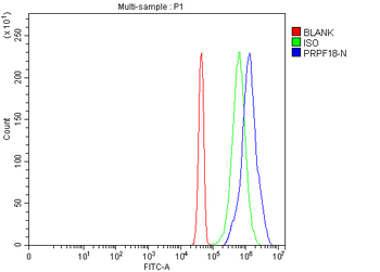 Anti-PRPF18 Antibody