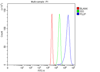 Anti-Plasmolipin/PLLP Antibody