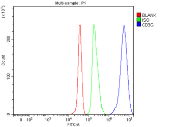 Anti-CD3 Gamma/CD3G Antibody