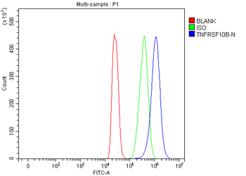 Anti-DR5/TNFRSF10B Antibody