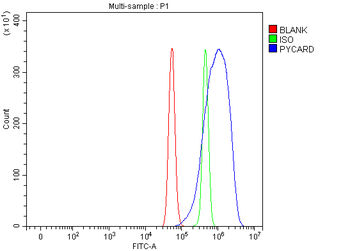 Anti-ASC/TMS1/Pycard Antibody
