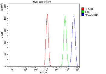 Anti-MAD2L1BP Antibody