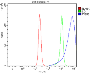 Anti-PTGR2 Antibody