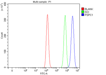 Anti-PSPC1 Antibody