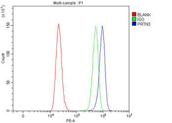 Anti-PRTN3 Antibody