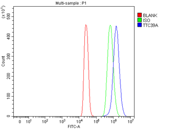 Anti-TTC39A Antibody