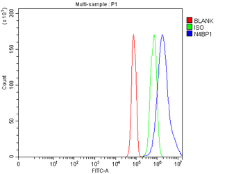 Anti-N4BP1 Antibody