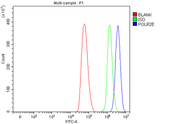 Anti-RPB5/POLR2E Antibody