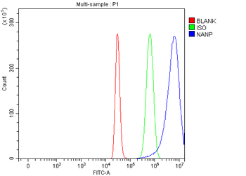 Anti-NANP Antibody