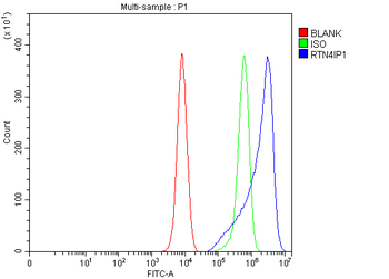 Anti-RTN4IP1 Antibody