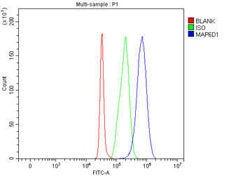 Anti-MAP6D1 Antibody