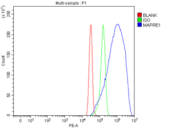 Anti-EB1/MAPRE1 Antibody