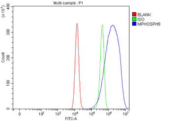 Anti-MPHOSPH9 Antibody