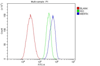 Anti-Tyrosine-protein kinase Mer MERTK Antibody