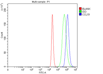 Anti-MIP-3 Beta/CCL19 Antibody